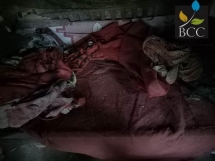 9 Tempat Tidur 9 Tempat Tidur