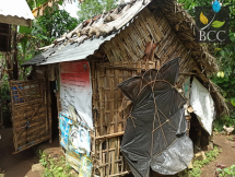 8 Rumah II