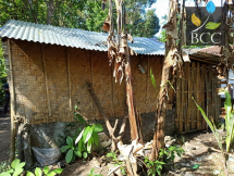 6 Belakang Rumah