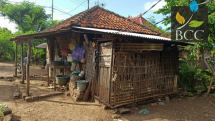 4 Side of the house