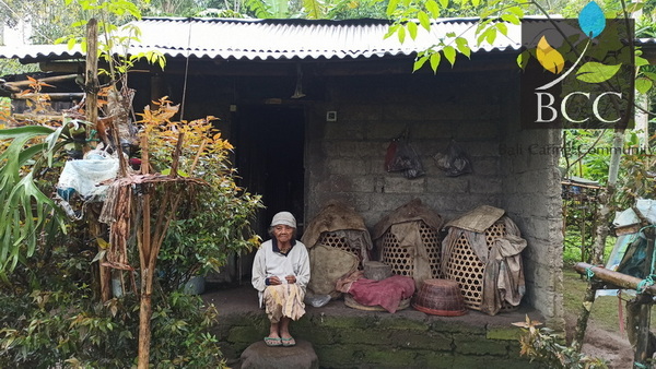 PHOTO 2 - House