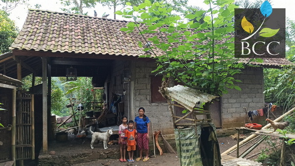 PHOTO 3 - House