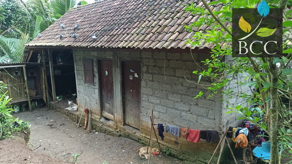 PHOTO 4 - House