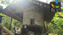 4 House