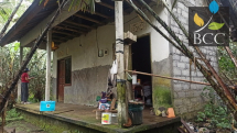 3 Rumah