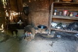 Dapur